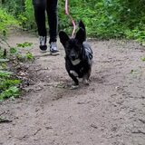 Foto van Botteke en Big Winnie