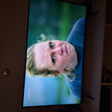 Foto van Ellen, vrouwtje van Noortje