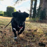 Foto van Botteke en Big Winnie