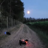 Foto van Botteke en Big Winnie