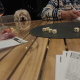 Foto van sylvia
