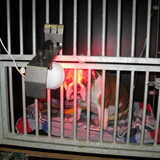 amber net na de operatie bij de lamp en aan het infuus