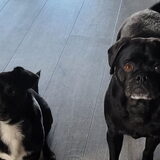 Foto van Botteke en Big Winnie