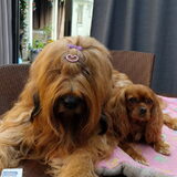 Foto van Nadine