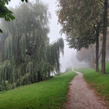 Foto van sylvia
