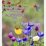 Foto van Willemijn - baasje van Vika .           Bams  en Ogin   ¥ .