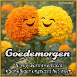 Foto van Willemijn - baasje van Vika .           Bams  en Ogin   ¥ .