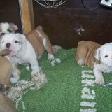 kindjes van onze Clarence