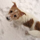 Louis inmiddels 9 maanden oud
