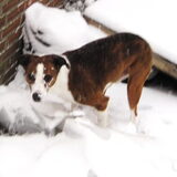 Heerlijk die sneeuw, koud?? Doet me niks