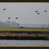 Foto van De Mecheltjes clan