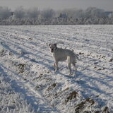 Foto van nathalie
