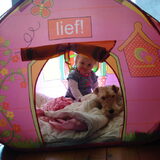 Ook Morris vind het weer een helemaal geweldig tentje....Samen met…