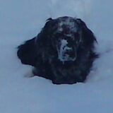 SNEEUW, JOEPI!!!
