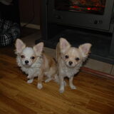 lief he bruno&prinses