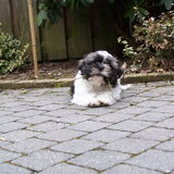 luca 3 maanden