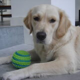 Foto van Nathalie