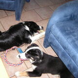 Atos en Odie samen