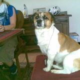 Bink met mijn ketting
