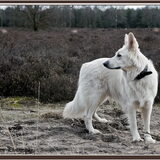 Foto van Hetty & Skipper