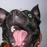 Slappe lach :P