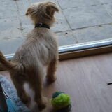 hey wat zie ik daar nou?