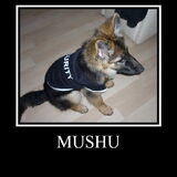 Foto van ~~Michelle&Mushu~~