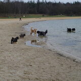 op het strand