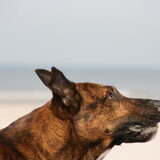 Wat heb je, wat is dat, dat wil ik, ah,.. plies, geef nou!