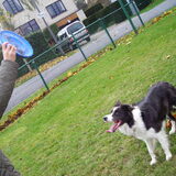 Foto van Han & Zarah