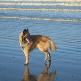 de eerste vakantie in De Haan dec 2006