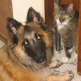 met kater Pim, 16 jaar !