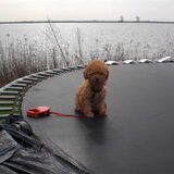 ff op de trampoline
