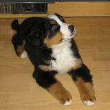 Foto's van deze kleine dame zijn gewoon lief. xx