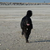 rennen op het strand!