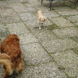 Foto van annemarie
