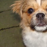 Foto van Wendy