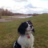 Meike na een fikse wandeling in de Groene ster.