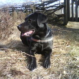 my beauty