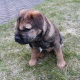 Op deze foto was ze 15 weken oud.