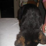 dit is onse messi 13-10-2009