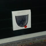 Het katten-luik.... ???