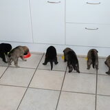5 broers en 1 zus aan tafel... hier konden ze al aardig uit het bakje…