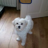Kaily net onder de douche geweest, wat is ze weer wit!