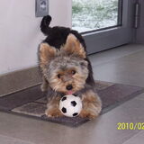 Foto van Nancy