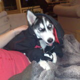 stoere sky