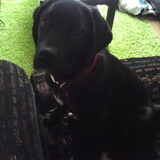 Oh, hallo daar