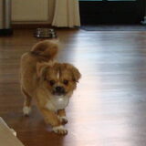 Foto van Wendy