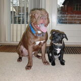 Foto van priscilla & C.S.C