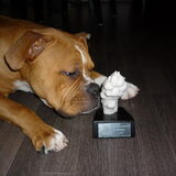 Foto van Daisy